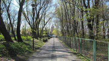 Фото номера Апартаменты с 1 спальней и балконом Апартаменты Apartament Portowy г. Колобжег 19