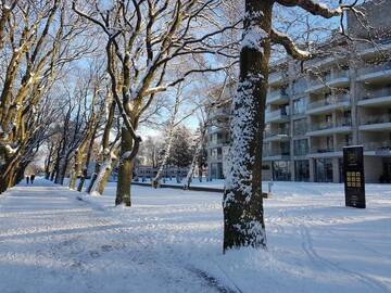 Фото номера Апартаменты Делюкс с 1 спальней Апартаменты Apartament prywatny 327 w Diune Resort г. Колобжег 55