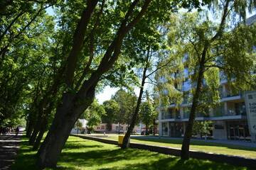 Фото номера Апартаменты с 1 спальней Апартаменты Apartamenty PROMENADA - Diune г. Колобжег 34